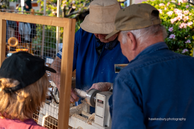 Leura Garden Festival & Anvil Rock Lookout 2