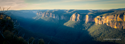 Leura Garden Festival & Anvil Rock Lookout 8